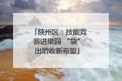 陕州区：技能竞赛进果园 “袋”出增收新希望
