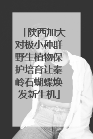 陕西加大对极小种群野生植物保护培育让秦岭石蝴蝶焕发新生机
