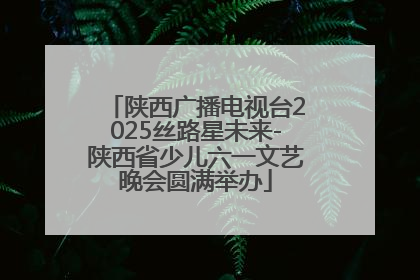 陕西广播电视台2025丝路星未来-陕西省少儿六一文艺晚会圆满举办