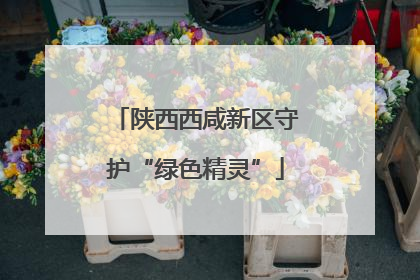 陕西西咸新区守护“绿色精灵”