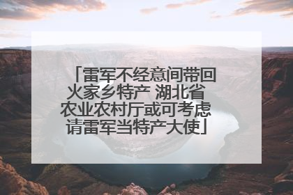 雷军不经意间带回火家乡特产 湖北省农业农村厅或可考虑请雷军当特产大使