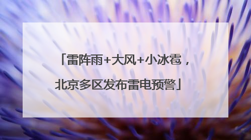 雷阵雨+大风+小冰雹，北京多区发布雷电预警