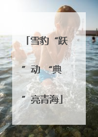 雪豹“跃”动 “典”亮青海