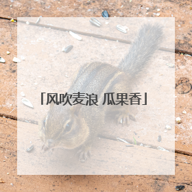 风吹麦浪 瓜果香