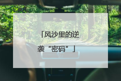 风沙里的逆袭“密码”