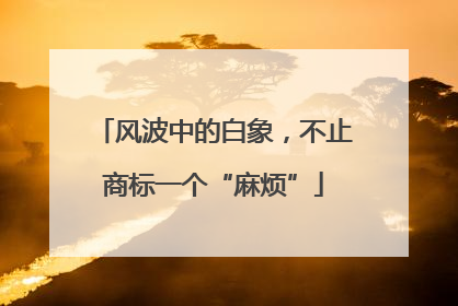 风波中的白象，不止商标一个“麻烦”