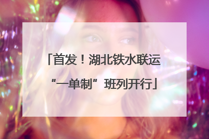 首发！湖北铁水联运“一单制”班列开行