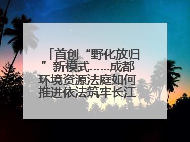 首创“野化放归”新模式……成都环境资源法庭如何推进依法筑牢长江上游生态屏障