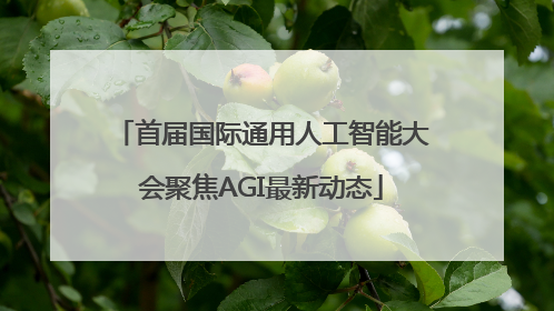首届国际通用人工智能大会聚焦AGI最新动态