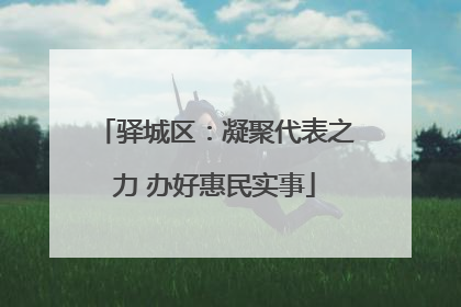 驿城区：凝聚代表之力 办好惠民实事