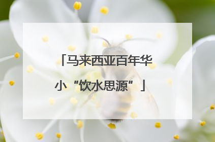 马来西亚百年华小“饮水思源”