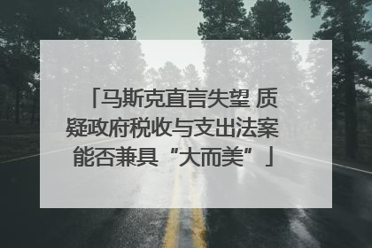 马斯克直言失望 质疑政府税收与支出法案能否兼具“大而美”