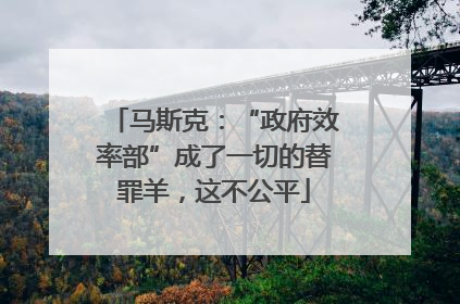 马斯克：“政府效率部”成了一切的替罪羊，这不公平