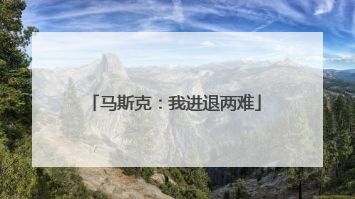 马斯克：我进退两难