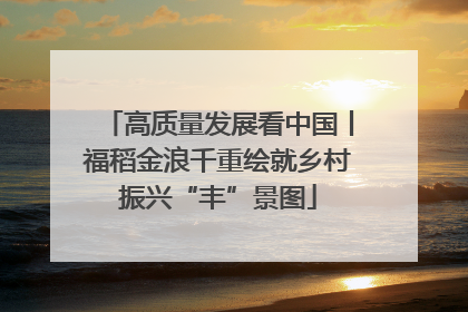 高质量发展看中国丨福稻金浪千重绘就乡村振兴“丰”景图