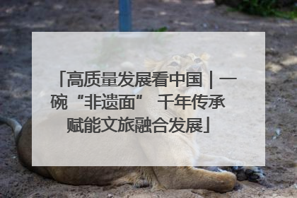高质量发展看中国｜一碗“非遗面” 千年传承赋能文旅融合发展
