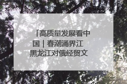 高质量发展看中国｜春潮涌界江 黑龙江对俄经贸文旅交流绿意盎然