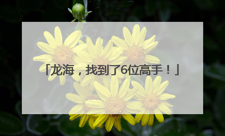 龙海，找到了6位高手！