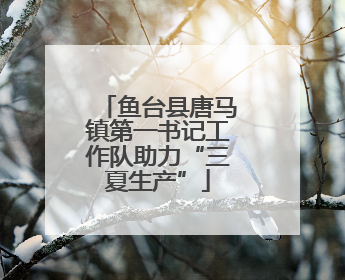 鱼台县唐马镇第一书记工作队助力“三夏生产”