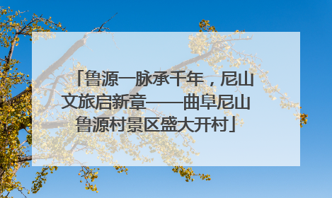鲁源一脉承千年，尼山文旅启新章——曲阜尼山鲁源村景区盛大开村