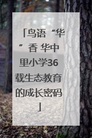 鸟语“华”香 华中里小学36载生态教育的成长密码