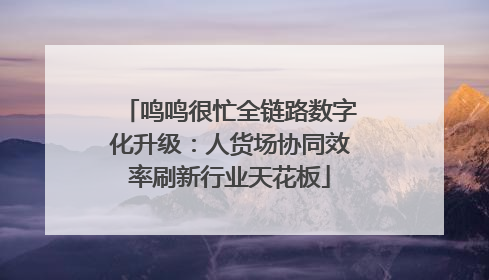 鸣鸣很忙全链路数字化升级：人货场协同效率刷新行业天花板