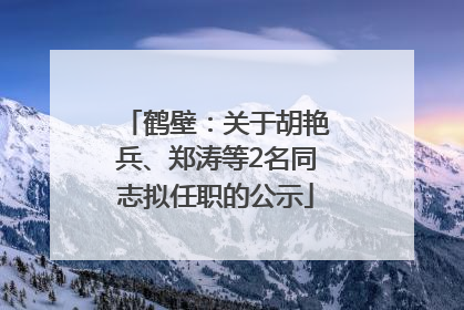 鹤壁：关于胡艳兵、郑涛等2名同志拟任职的公示