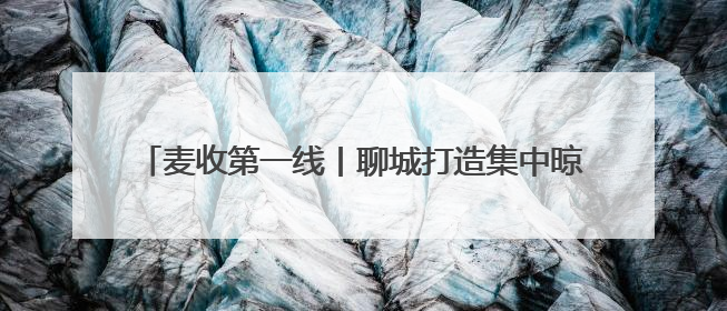 麦收第一线丨聊城打造集中晾晒场地，让农民省心又省力