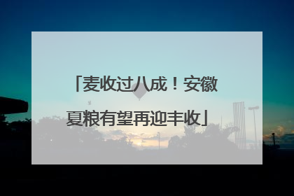 麦收过八成！安徽夏粮有望再迎丰收