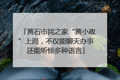 黄石市民之家“黄小政”上岗，不仅能聊天办事还能听懂多种语言