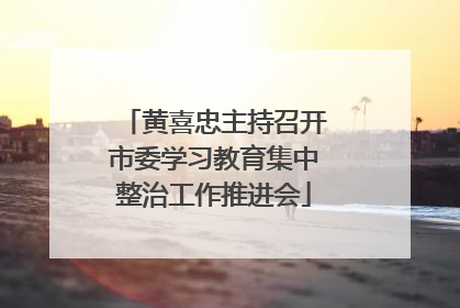 黄喜忠主持召开市委学习教育集中整治工作推进会
