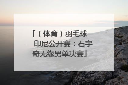 （体育）羽毛球——印尼公开赛：石宇奇无缘男单决赛