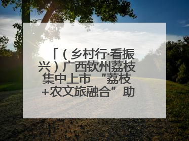 （乡村行·看振兴）广西钦州荔枝集中上市 “荔枝+农文旅融合”助农增收