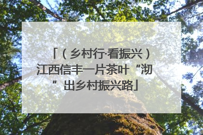 （乡村行·看振兴）江西信丰一片茶叶“沏”出乡村振兴路
