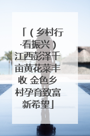 （乡村行·看振兴）江西彭泽千亩黄花菜丰收 金色乡村孕育致富新希望