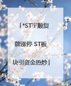 *ST宇顺复牌涨停 ST板块引资金热炒