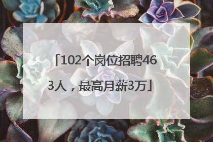 102个岗位招聘463人，最高月薪3万