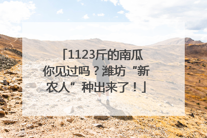 1123斤的南瓜你见过吗？潍坊“新农人”种出来了！