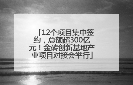 12个项目集中签约，总额超300亿元！金砖创新基地产业项目对接会举行