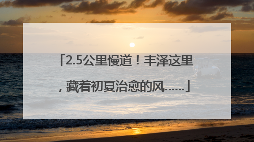2.5公里慢道！丰泽这里，藏着初夏治愈的风……