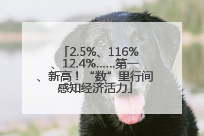 2.5%、116%、12.4%……第一、新高！“数”里行间感知经济活力