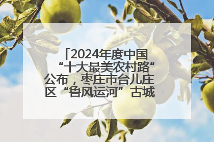 2024年度中国“十大最美农村路”公布，枣庄市台儿庄区“鲁风运河”古城文化廊道上榜！