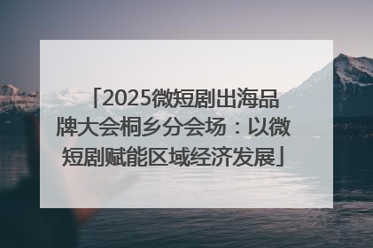 2025微短剧出海品牌大会桐乡分会场：以微短剧赋能区域经济发展