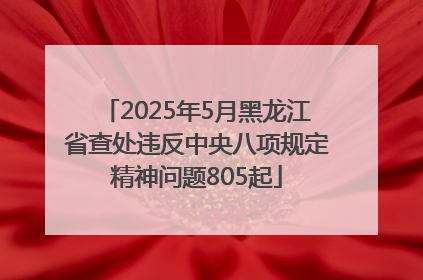 2025年5月黑龙江省查处违反中央八项规定精神问题805起