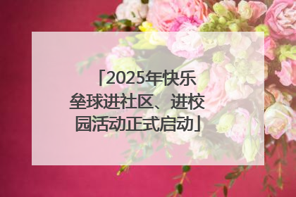 2025年快乐垒球进社区、进校园活动正式启动