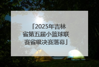 2025年吉林省第五届小篮球联赛省级决赛落幕