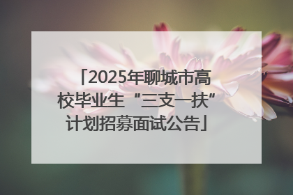 2025年聊城市高校毕业生“三支一扶”计划招募面试公告