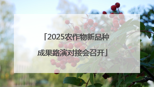 2025农作物新品种成果路演对接会召开