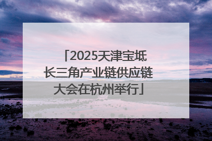 2025天津宝坻长三角产业链供应链大会在杭州举行