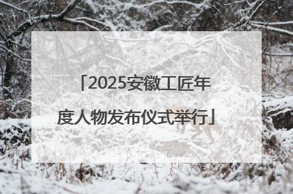 2025安徽工匠年度人物发布仪式举行